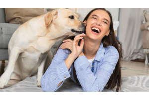 Champú para perros con olor fuerte: cómo eliminarlo desde la higiene