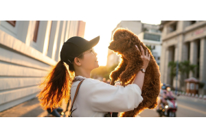 Champú para perros que viven en ciudad: cómo adaptar la higiene al entorno urbano