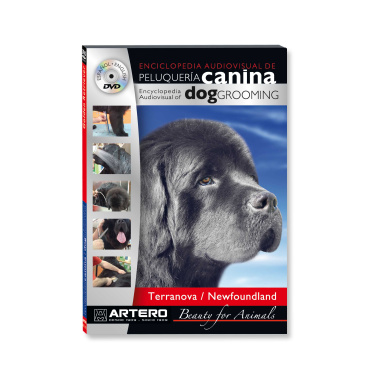 Artero DVD Terranova