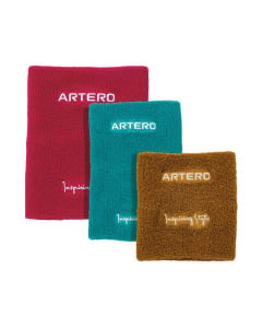 Artero Set Orejeros Secado Focus 