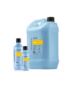 Artero Shampoo Bloom Argan 