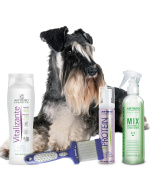 Pack raza Schnauzer