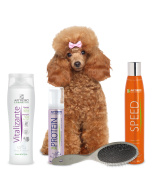 Pack raza caniche