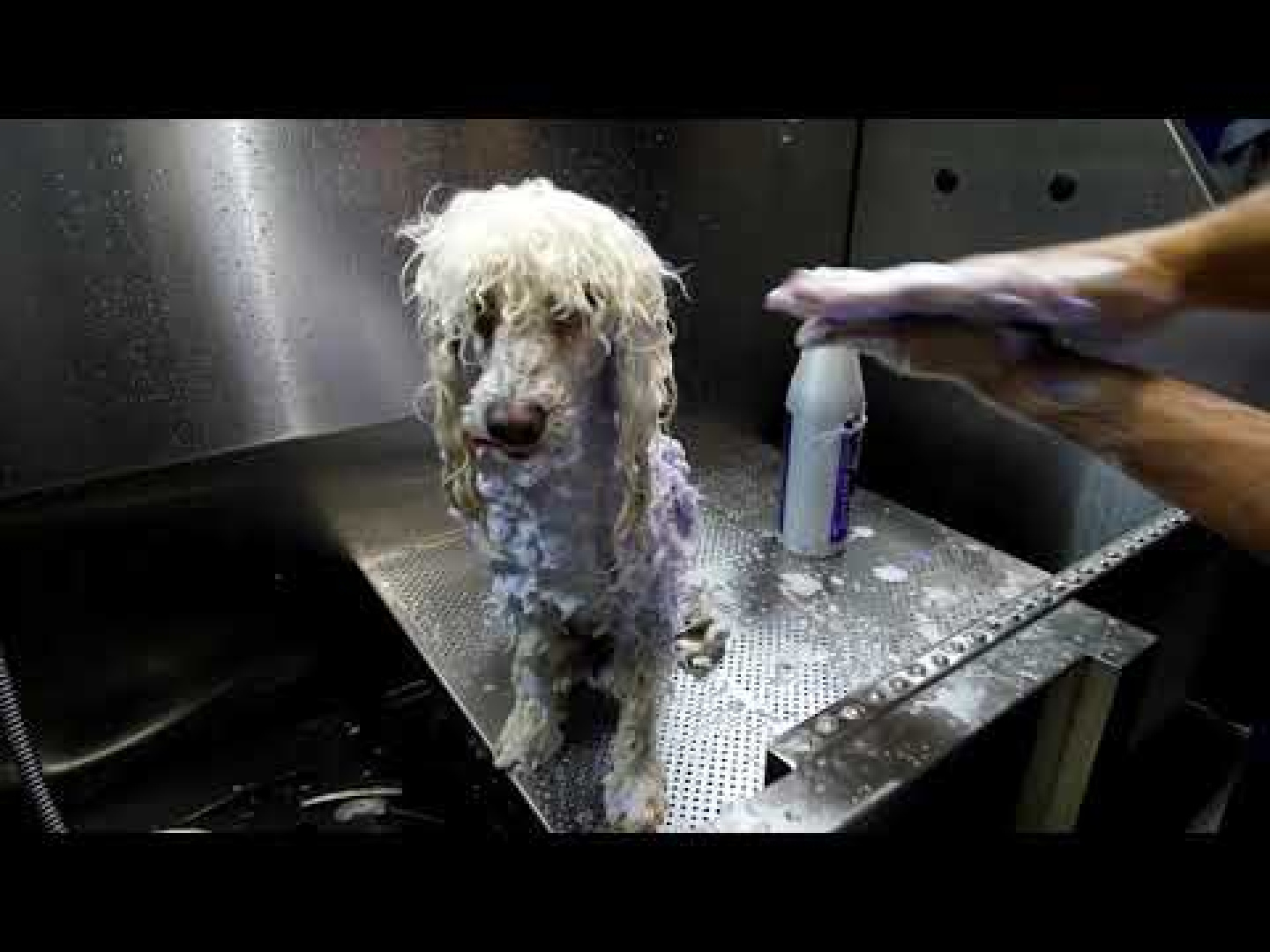 Atero Intensifying 33.9 Oz