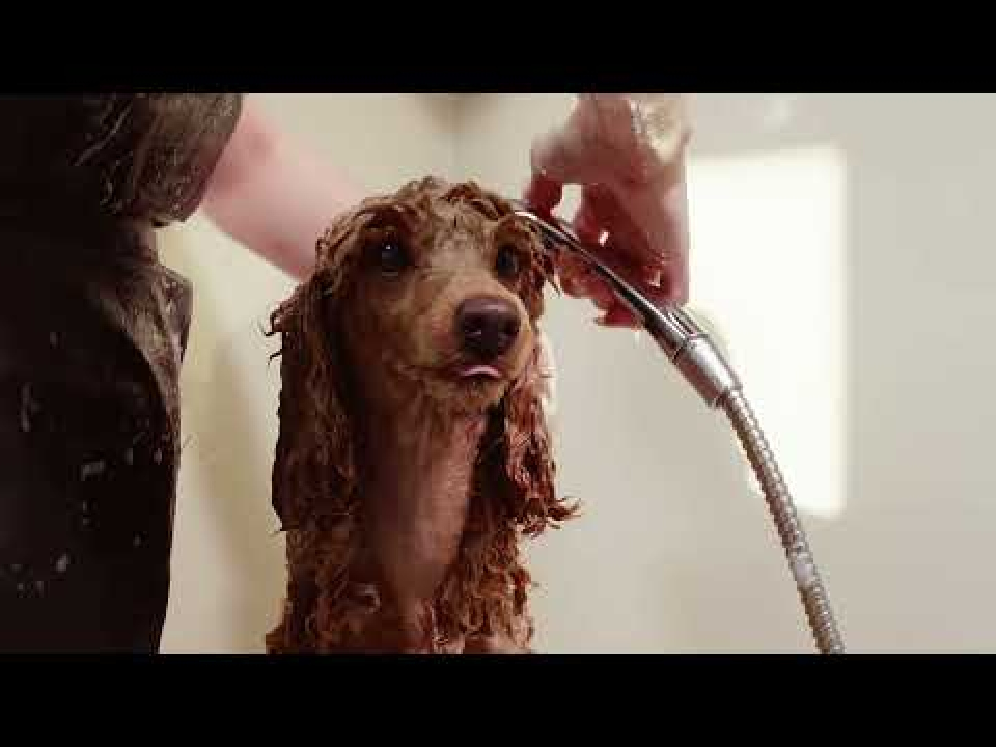 Artero Protein Vital 100 conditioner