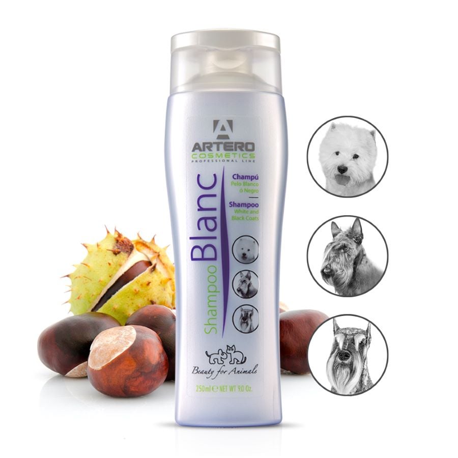 Artero Blanc Shampoo