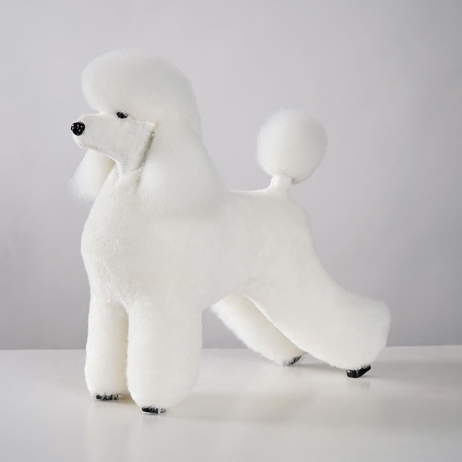 Artero Grafitti Model Dog Poodle Wig Without Top-knot