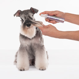 Acondicionadores para perros
