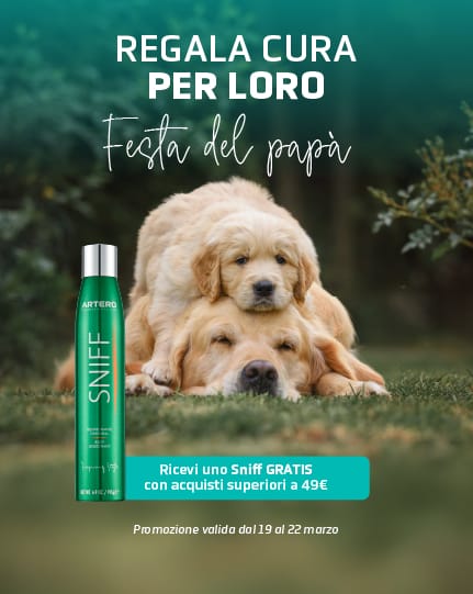 FESTA DEL PAP&Agrave;