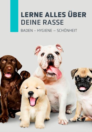 Kaufen Sie nach Hunderasse