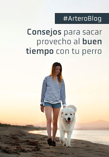 Consejos para sacar provecho al buen tiempo con tu perro