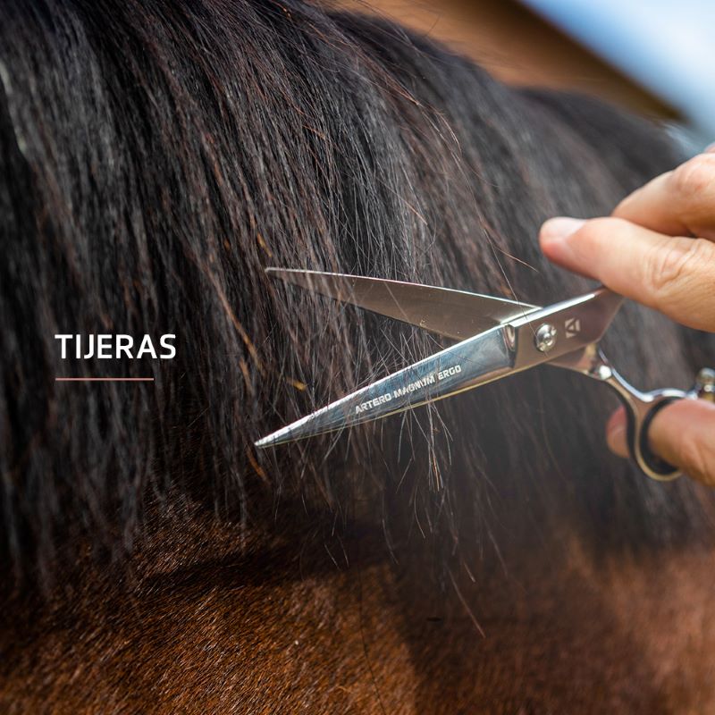 Tijeras para cortar el pelo de caballos