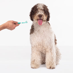 Prodotti Igiene per Cani 