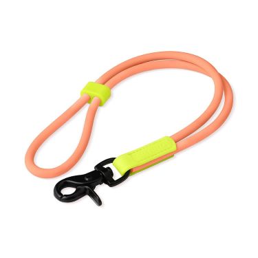 laisses pour chien
