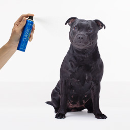 Profumi per Cani